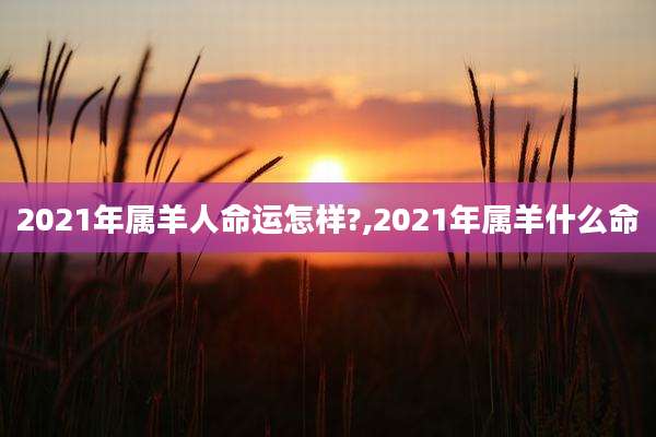 2021年属羊人命运怎样?,2021年属羊什么命