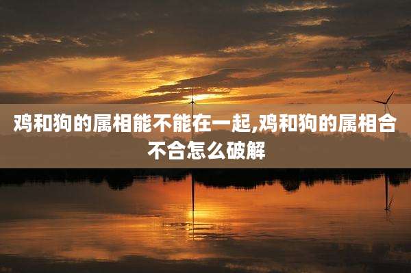 鸡和狗的属相能不能在一起,鸡和狗的属相合不合怎么破解