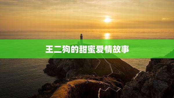 王二狗的甜蜜爱情故事