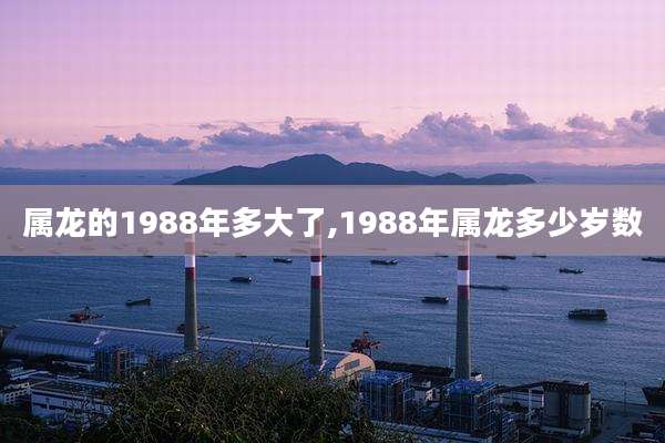 属龙的1988年多大了,1988年属龙多少岁数