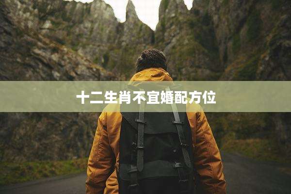 十二生肖不宜婚配方位