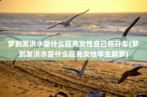 梦到发洪水是什么征兆女性自己在开车(梦到发洪水是什么征兆女性学生解梦)