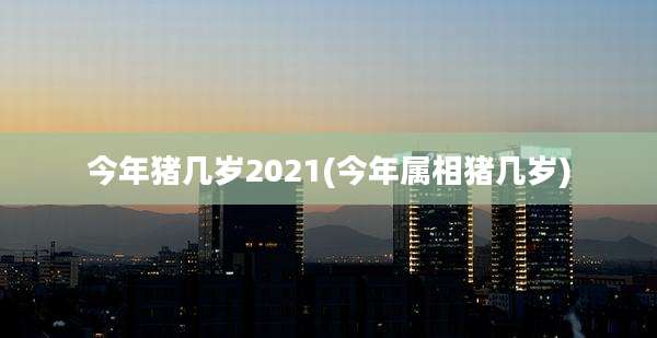今年猪几岁2021(今年属相猪几岁)