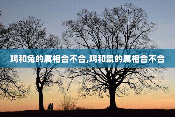 鸡和兔的属相合不合,鸡和鼠的属相合不合