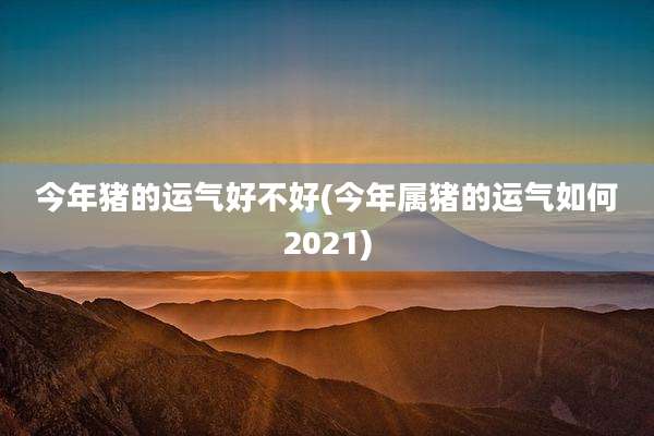 今年猪的运气好不好(今年属猪的运气如何2021)