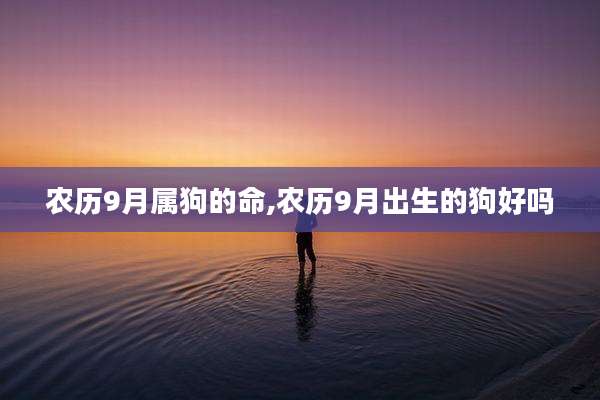 农历9月属狗的命,农历9月出生的狗好吗