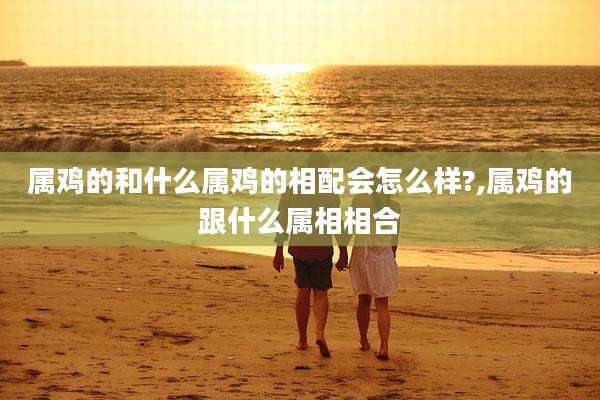 属鸡的和什么属鸡的相配会怎么样?,属鸡的跟什么属相相合