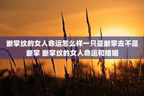 断掌纹的女人命运怎么样一只是断掌去不是断掌 断掌纹的女人命运和婚姻