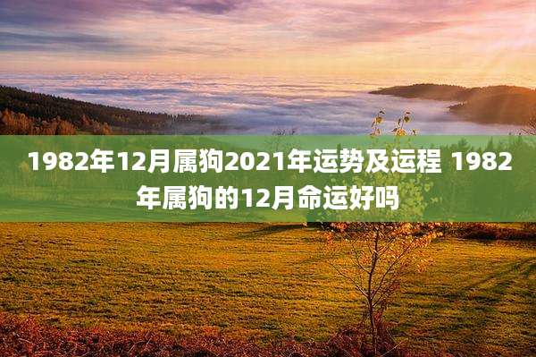 1982年12月属狗2021年运势及运程 1982年属狗的12月命运好吗