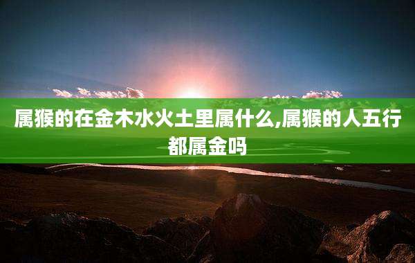 属猴的在金木水火土里属什么,属猴的人五行都属金吗