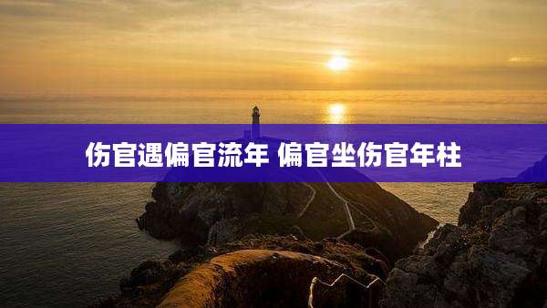 伤官遇偏官流年 偏官坐伤官年柱