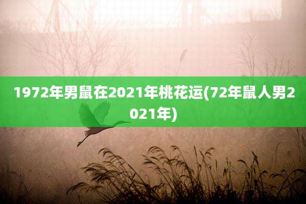 1972年男鼠在2021年桃花运(72年鼠人男2021年)