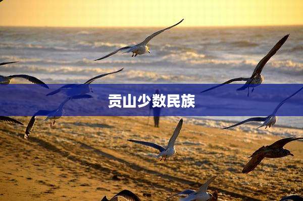 贡山少数民族