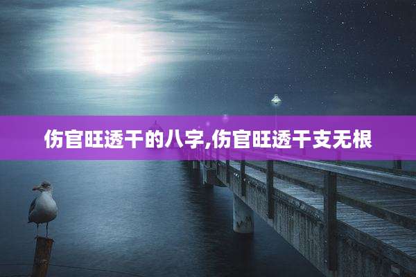 伤官旺透干的八字,伤官旺透干支无根