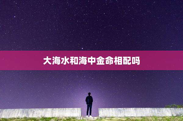 大海水和海中金命相配吗