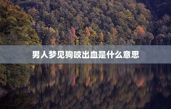 男人梦见狗咬出血是什么意思