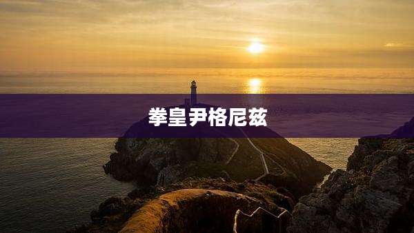 拳皇尹格尼兹