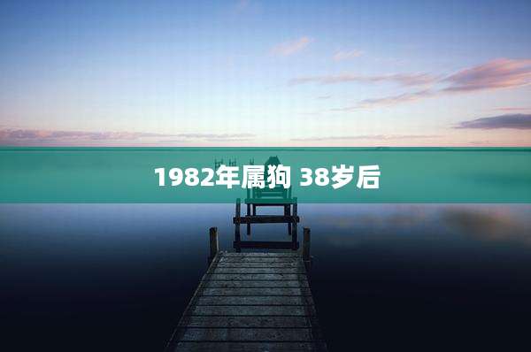 1982年属狗 38岁后