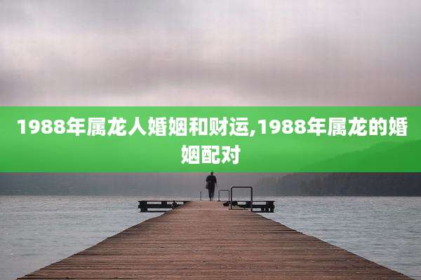 1988年属龙人婚姻和财运,1988年属龙的婚姻配对
