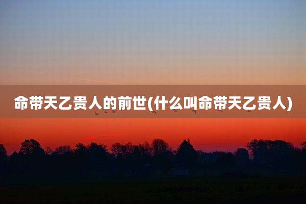 命带天乙贵人的前世(什么叫命带天乙贵人)