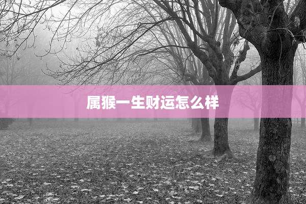属猴一生财运怎么样