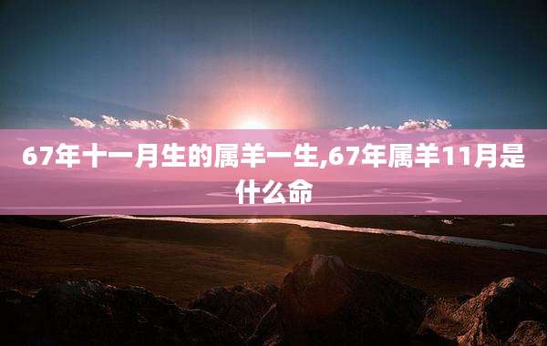 67年十一月生的属羊一生,67年属羊11月是什么命
