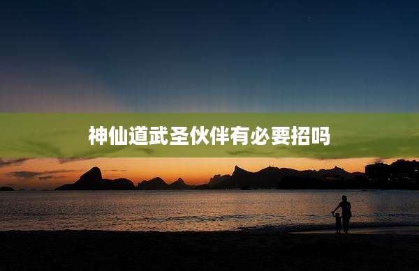神仙道武圣伙伴有必要招吗