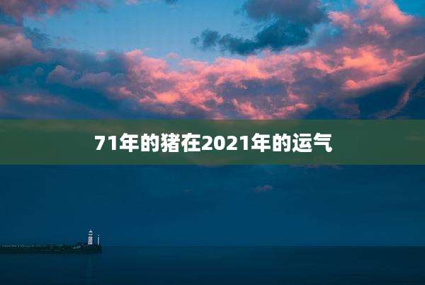 71年的猪在2021年的运气