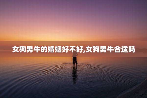 女狗男牛的婚姻好不好,女狗男牛合适吗