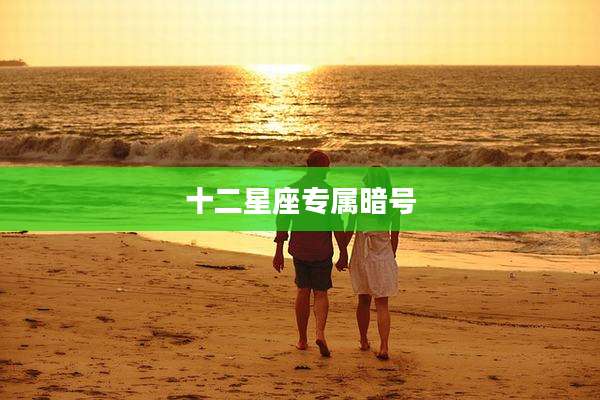 十二星座专属暗号