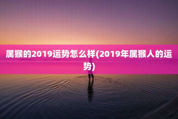 属猴的2019运势怎么样(2019年属猴人的运势)