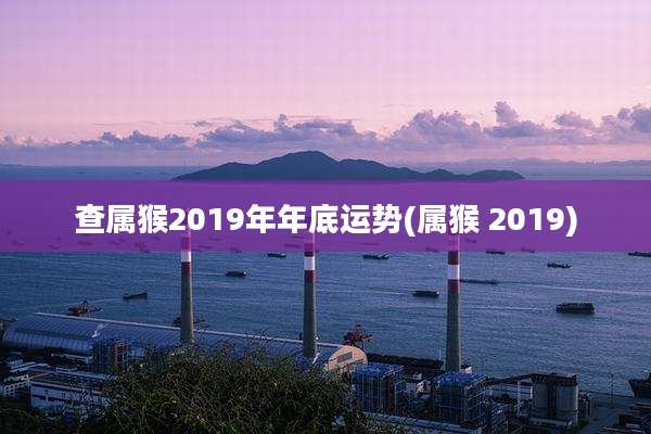 查属猴2019年年底运势(属猴 2019)