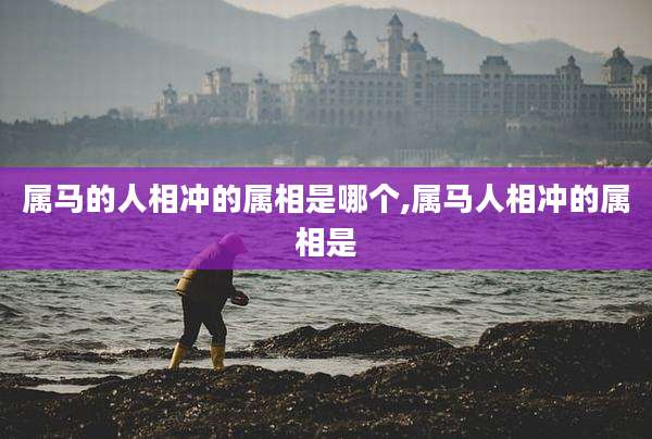 属马的人相冲的属相是哪个,属马人相冲的属相是