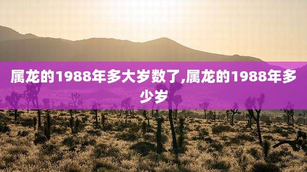 属龙的1988年多大岁数了,属龙的1988年多少岁