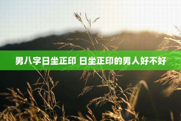 男八字日坐正印 日坐正印的男人好不好