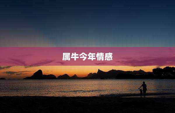 属牛今年情感