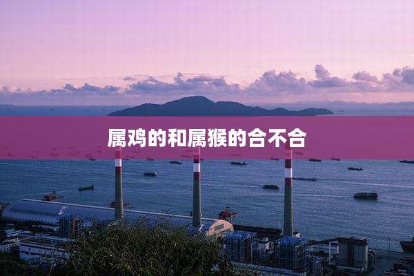 属鸡的和属猴的合不合