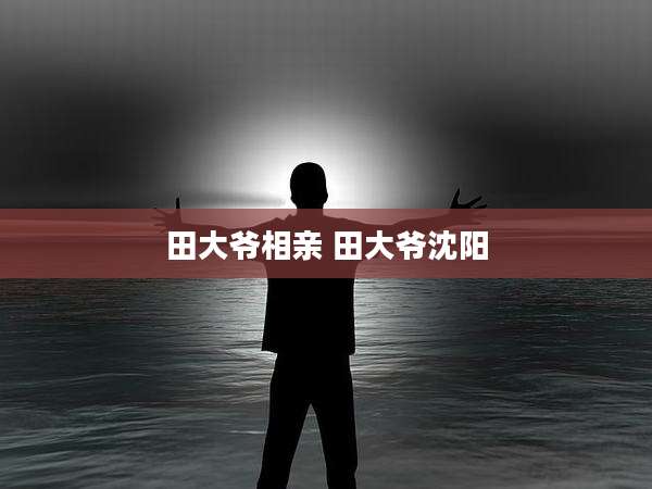 田大爷相亲 田大爷沈阳