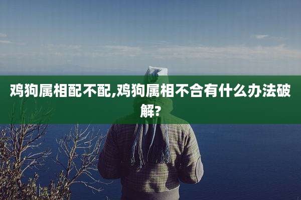 鸡狗属相配不配,鸡狗属相不合有什么办法破解?