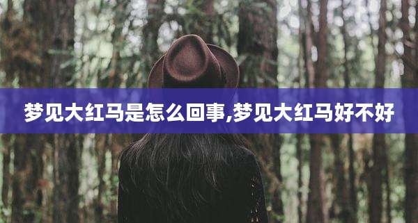 梦见大红马是怎么回事,梦见大红马好不好