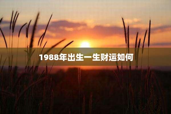 1988年出生一生财运如何