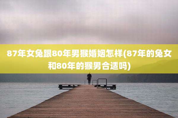 87年女兔跟80年男猴婚姻怎样(87年的兔女和80年的猴男合适吗)