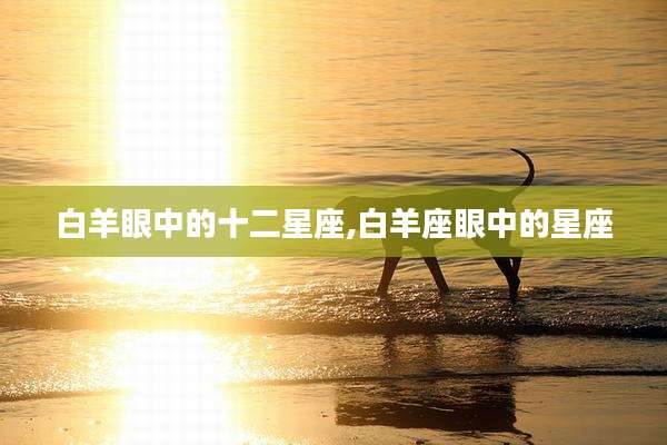 白羊眼中的十二星座,白羊座眼中的星座