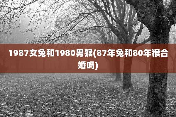 1987女兔和1980男猴(87年兔和80年猴合婚吗)
