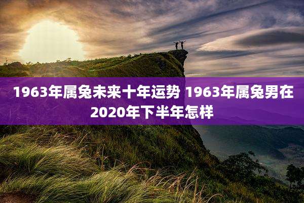 1963年属兔未来十年运势 1963年属兔男在2020年下半年怎样