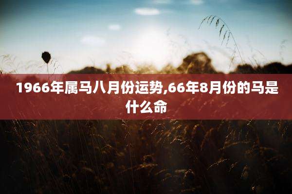 1966年属马八月份运势,66年8月份的马是什么命