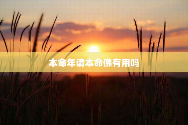 本命年请本命佛有用吗
