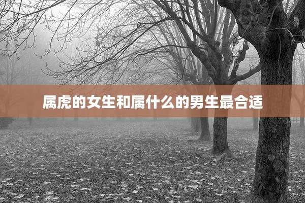 属虎的女生和属什么的男生最合适