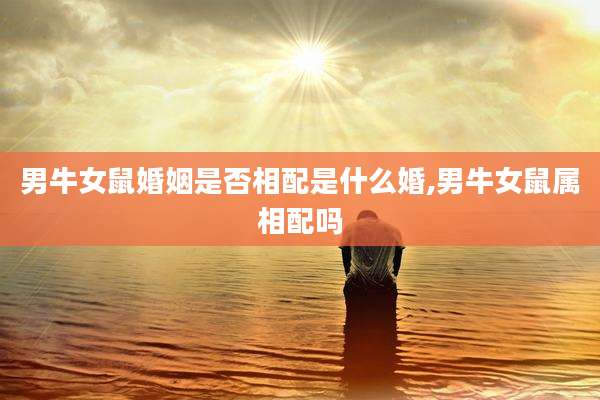 男牛女鼠婚姻是否相配是什么婚,男牛女鼠属相配吗