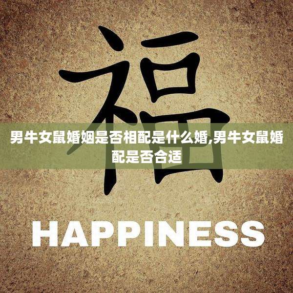 男牛女鼠婚姻是否相配是什么婚,男牛女鼠婚配是否合适